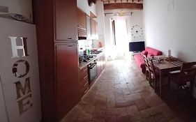 Casina 31